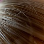 close-up-of-a-hair