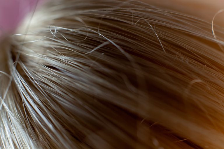 close-up-of-a-hair