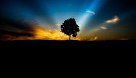 50 Cara Membuat Hari Anda Jadi Lebih Baik