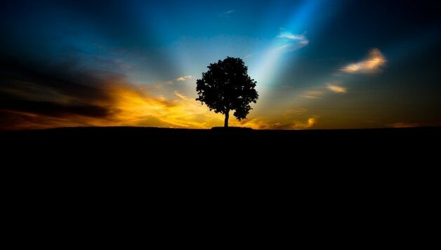 50 Cara Membuat Hari Anda Jadi Lebih Baik